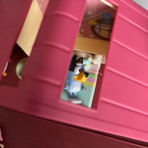 ブルーイファミリーのおうちの屋根の写真。持ち運びできる用のスペース付き。