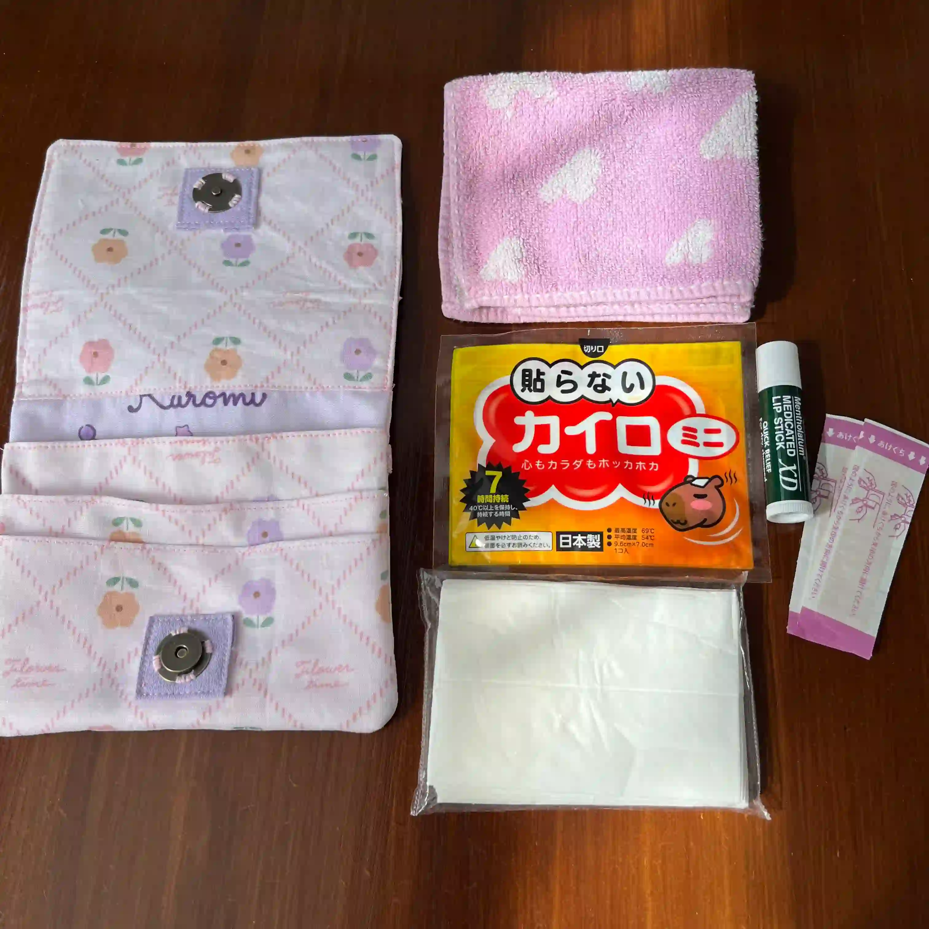 移動ポケットの中身の写真