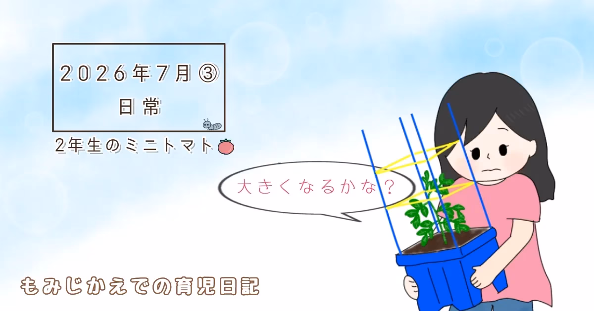 2026年7月③アリの行列と2年生のミニトマト日常記事のアイキャッチイラスト