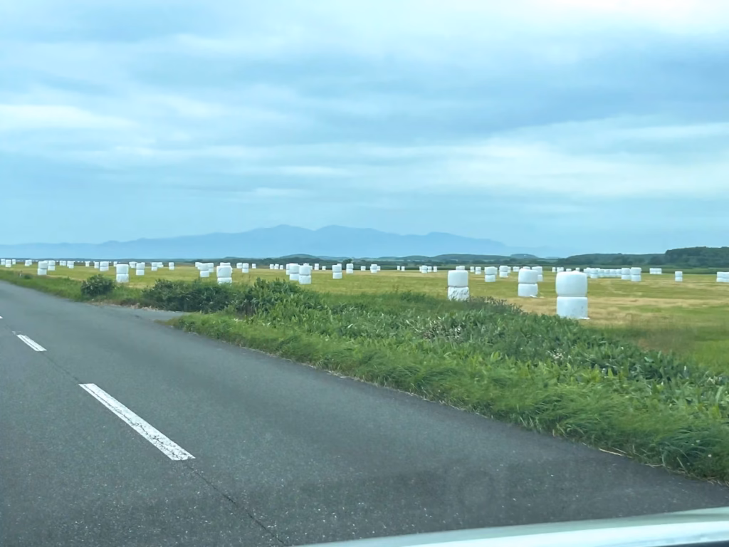 車の中から見た牧草ロール