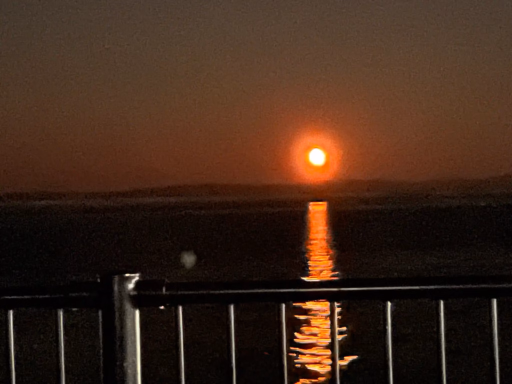 海から昇る月の写真